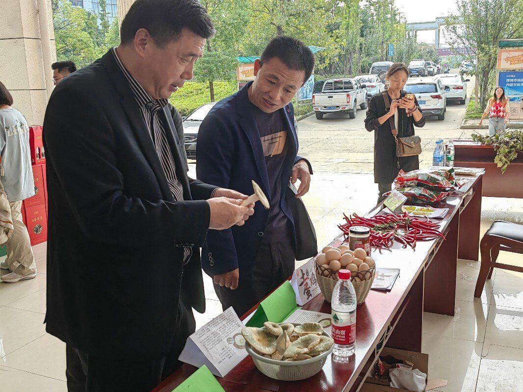 QQ图片20231011151347